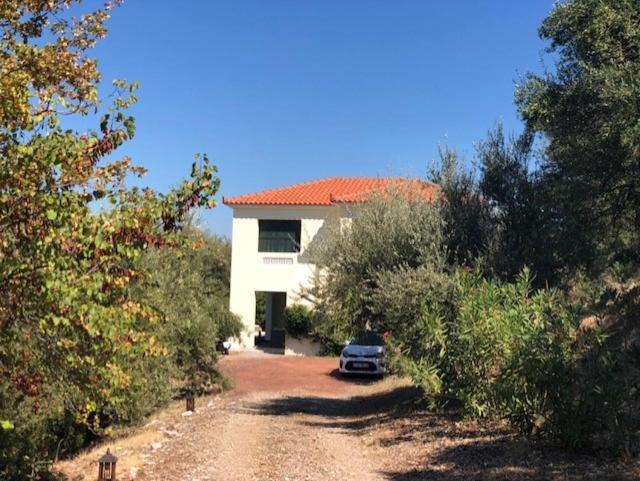 Vrises  Kyparissia De Wandelboomヴィラ エクステリア 写真