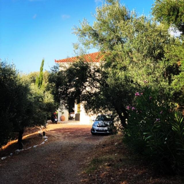 Vrises  Kyparissia De Wandelboomヴィラ エクステリア 写真