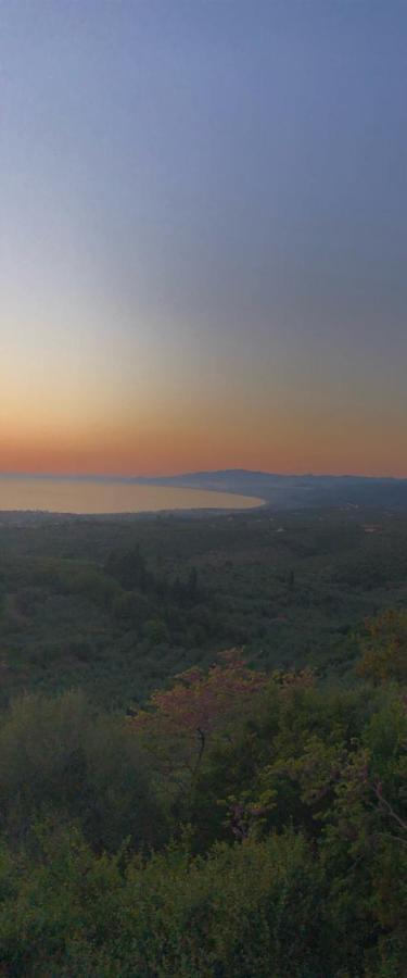 Vrises  Kyparissia De Wandelboomヴィラ エクステリア 写真