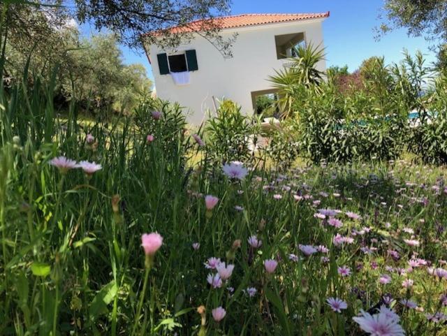 Vrises  Kyparissia De Wandelboomヴィラ エクステリア 写真