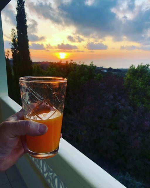 Vrises  Kyparissia De Wandelboomヴィラ エクステリア 写真