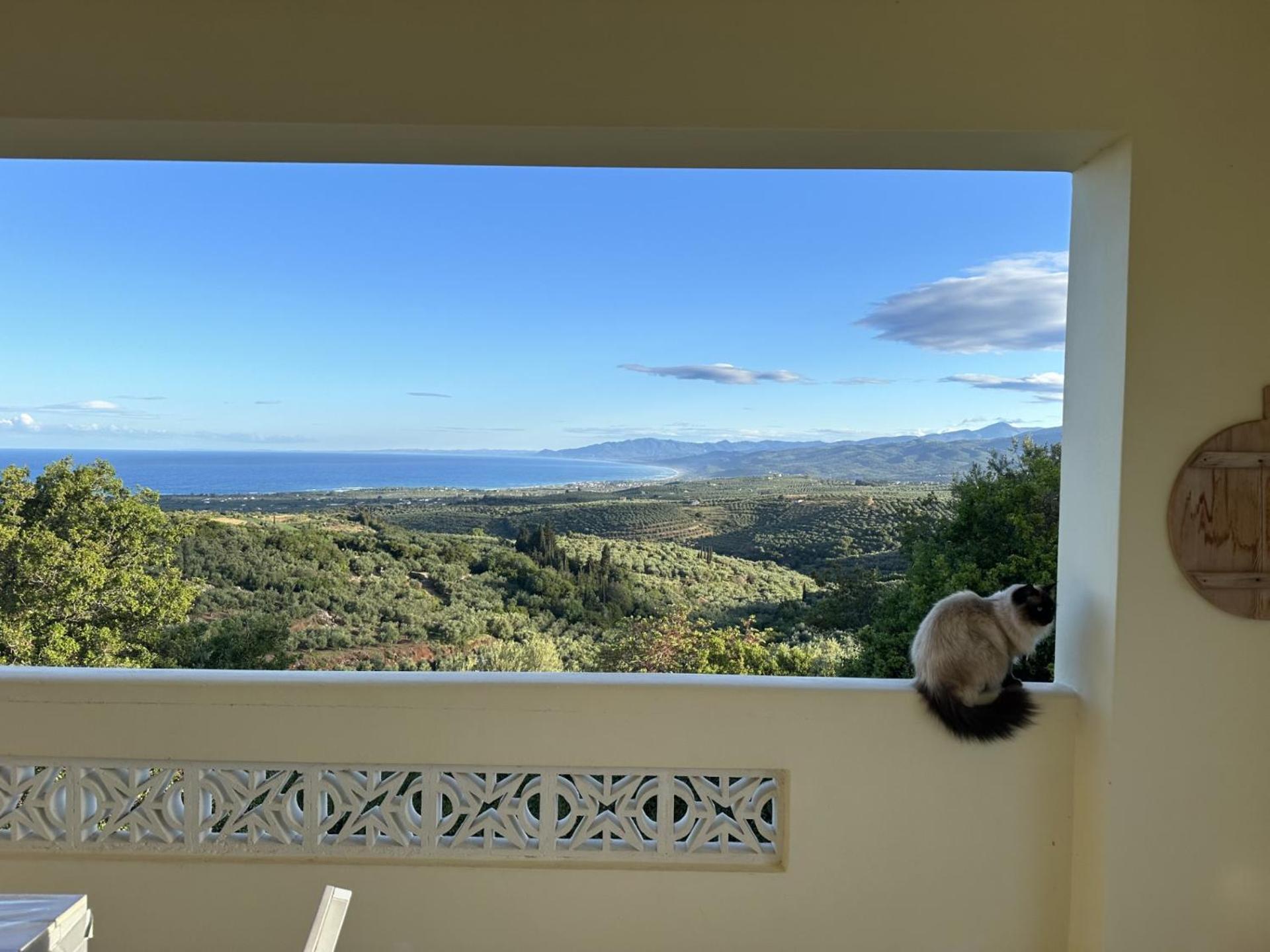 Vrises  Kyparissia De Wandelboomヴィラ エクステリア 写真