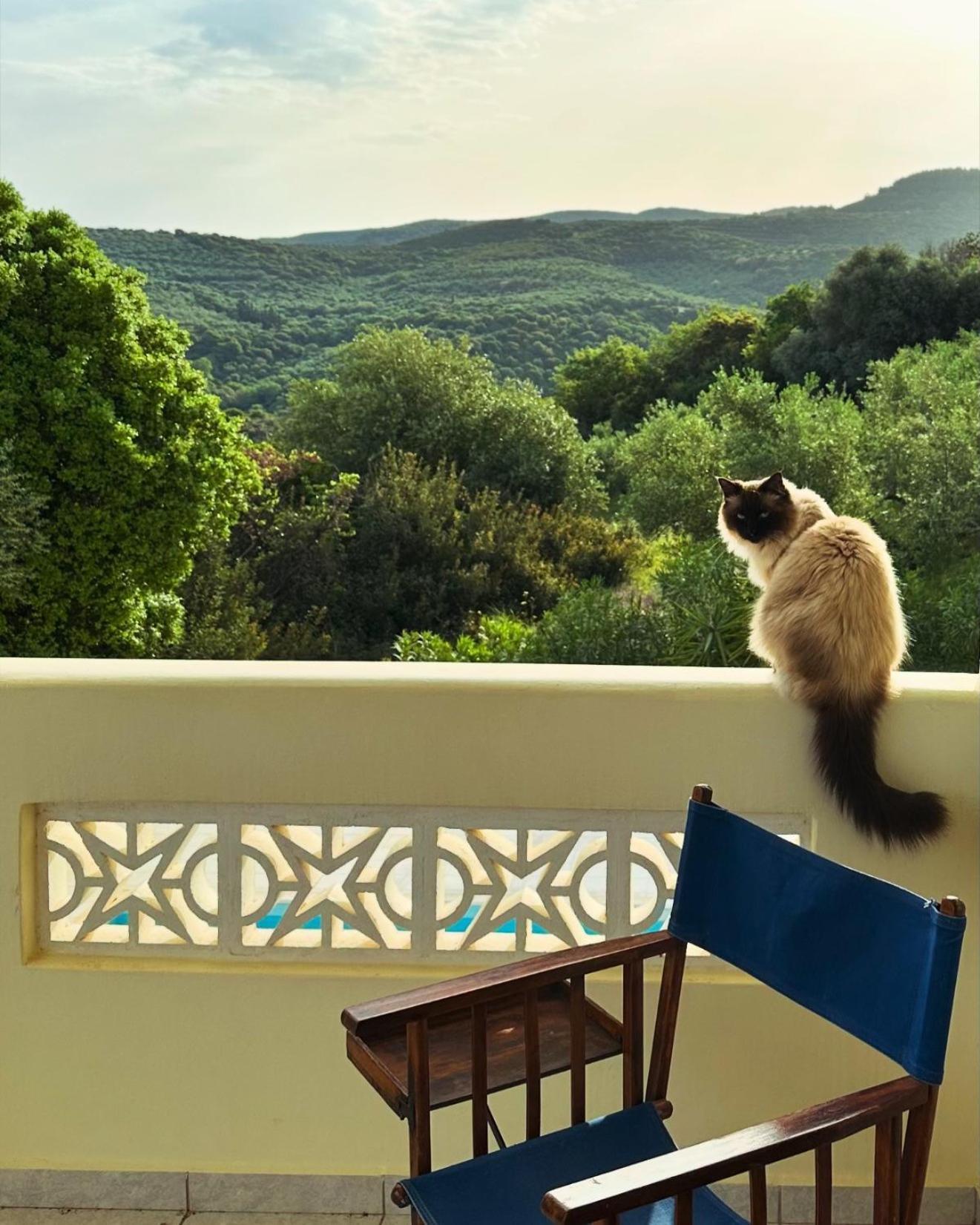 Vrises  Kyparissia De Wandelboomヴィラ エクステリア 写真